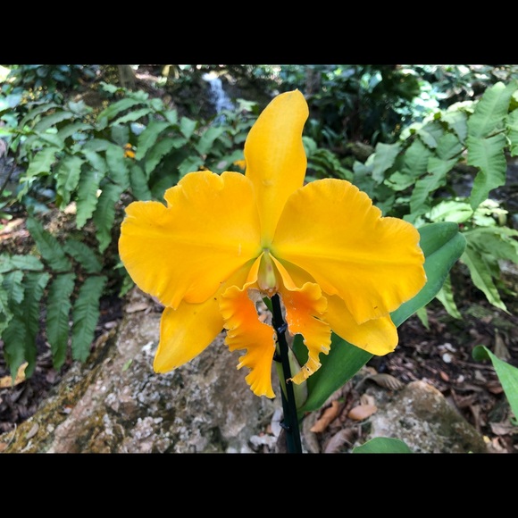 Meet your Posher, OO - Picture 1 of 2